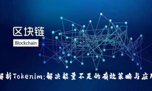 深度解析Tokenim：解决能量不足的有效策略与应用前景