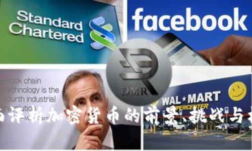 全面评析加密货币的前景、挑战与机遇