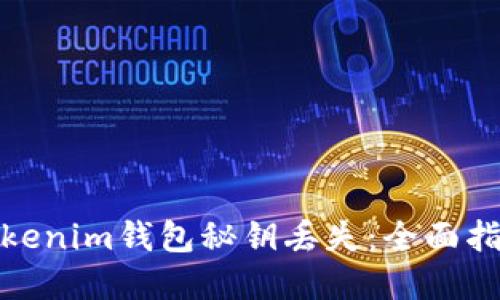 : 如何应对Tokenim钱包秘钥丢失：全面指导与解决方案