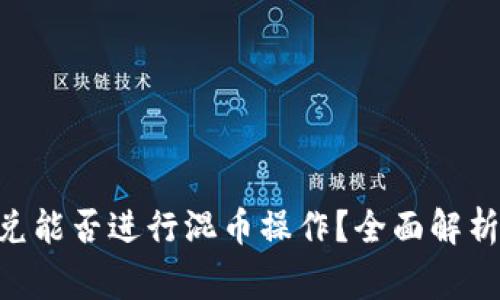 Tokenim闪兑能否进行混币操作？全面解析与注意事项