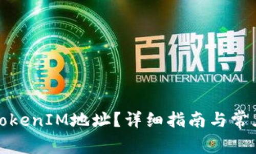 如何查看TokenIM地址？详细指南与常见问题解答