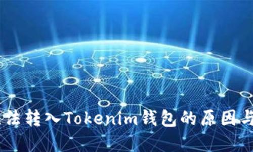 CTXC币无法转入Tokenim钱包的原因与解决方案