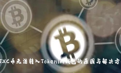 CTXC币无法转入Tokenim钱包的原因与解决方案