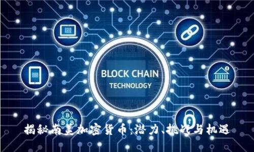 揭秘南美加密货币：潜力、挑战与机遇