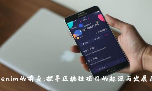 Tokenim的前身：探寻区块链项目的起源与发展历程