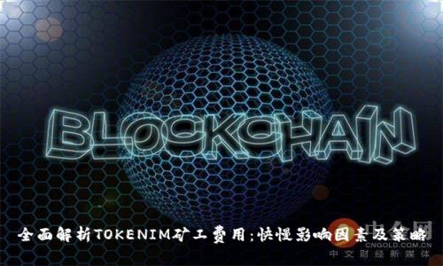 全面解析TOKENIM矿工费用：快慢影响因素及策略