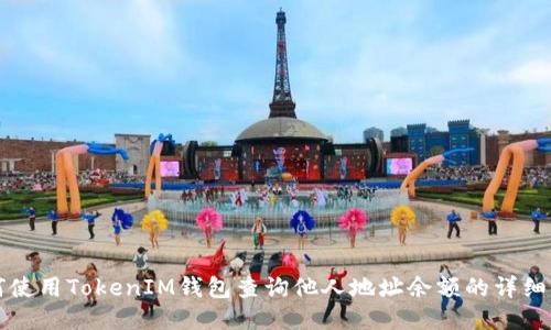 如何使用TokenIM钱包查询他人地址余额的详细指南