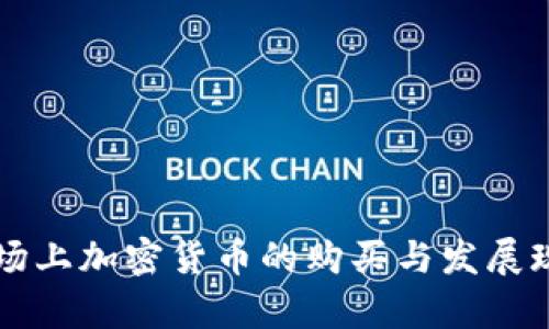 非洲市场上加密货币的购买与发展现状分析