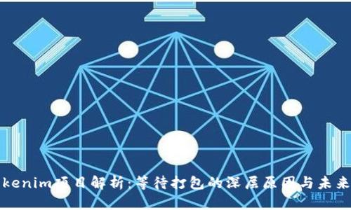 : Tokenim项目解析：等待打包的深层原因与未来展望