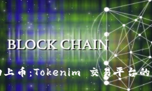 如何成功上币：Tokenim 交易平台的全面指南
