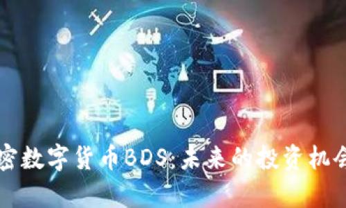 深入探讨加密数字货币BDS：未来的投资机会与技术解析