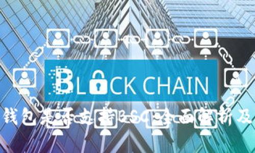 Tokenim钱包是否支持BSC：全面解析及使用指南