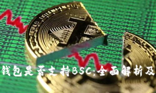 Tokenim钱包是否支持BSC：全面解析及使用指南