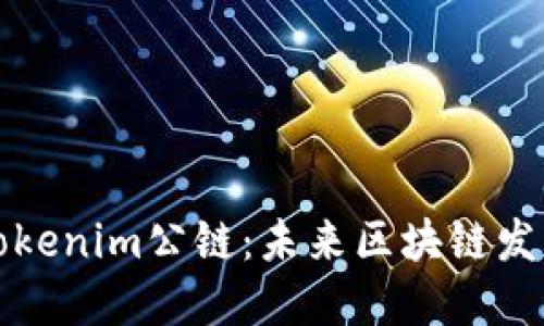 深入探究Tokenim公链：未来区块链发展的新引擎
