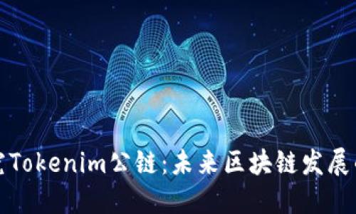 深入探究Tokenim公链：未来区块链发展的新引擎