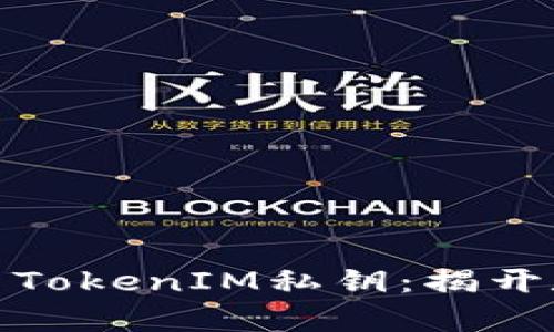 如何安全有效地使用TokenIM私钥：揭开数字资产管理的面纱