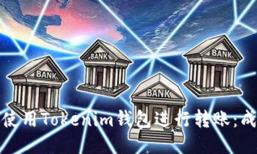 如何安全高效地使用Tokenim钱包进行转账：成功转账秘诀揭秘