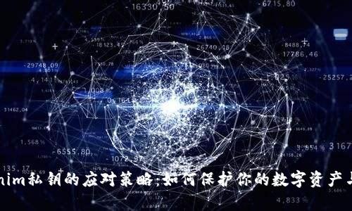 丢失Tokenim私钥的应对策略：如何保护你的数字资产与恢复方法