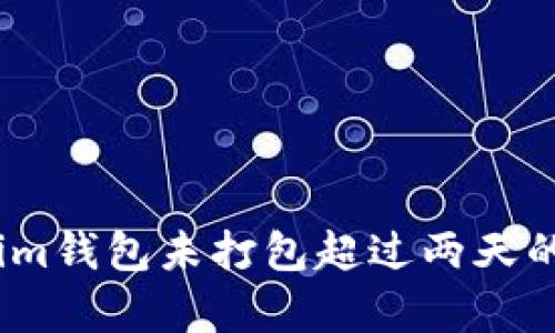 深入解析：Tokenim钱包未打包超过两天的原因及解决方案