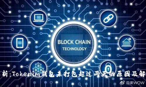 深入解析：Tokenim钱包未打包超过两天的原因及解决方案