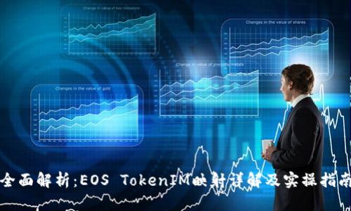 全面解析：EOS TokenIM映射详解及实操指南