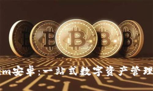 探索Tokenim安卓：一站式数字资产管理与投资平台