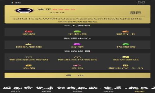 2023年美国加密货币领域现状：发展、挑战与未来展望