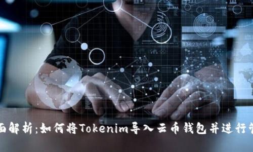全面解析：如何将Tokenim导入云币钱包并进行管理