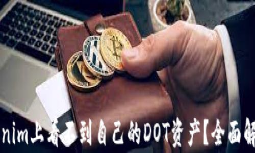 
为什么在Tokenim上看不到自己的DOT资产？全面解析与解决方案