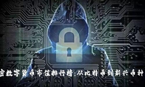 2023年加密数字货币市值排行榜：从比特币到新兴币种的全景解析