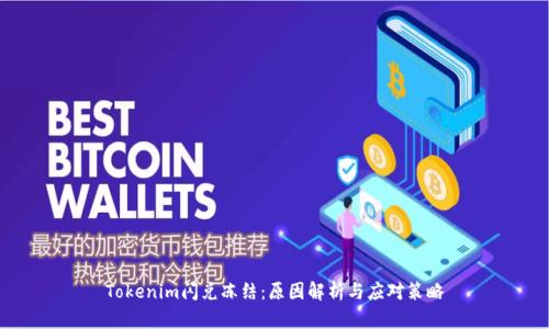 Tokenim闪兑冻结：原因解析与应对策略