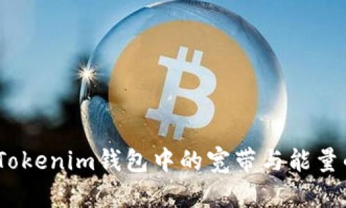 深入解析：Tokenim钱包中的宽带与能量的背后意义