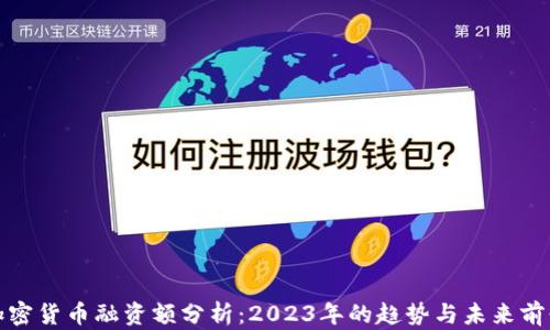 
加密货币融资额分析：2023年的趋势与未来前景