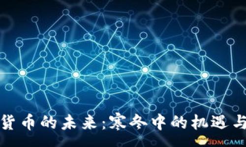 :
加密货币的未来：寒冬中的机遇与挑战