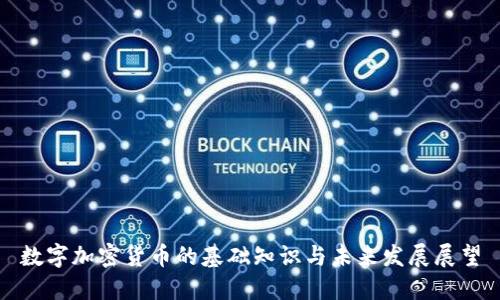 数字加密货币的基础知识与未来发展展望
