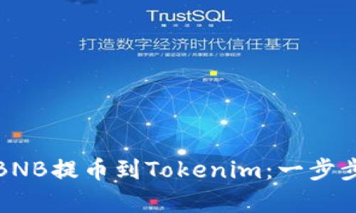 全面解析抹茶BNB提币到Tokenim：一步步教你如何实现