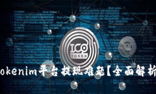  如何解决Tokenim平台提现难题？全面解析与实用技巧