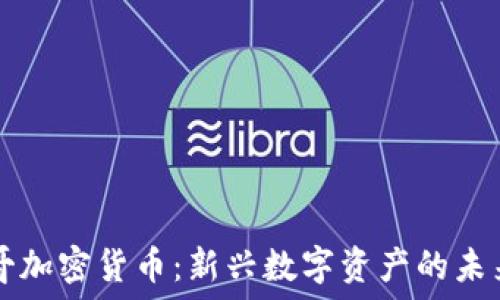  
揭秘参哥加密货币：新兴数字资产的未来与潜力