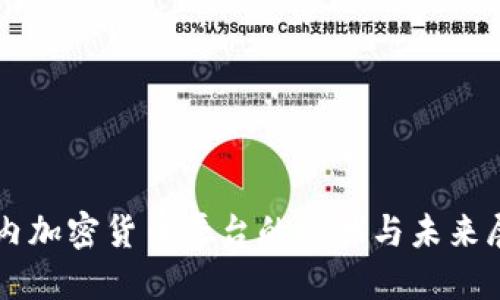 国内加密货币平台的现状与未来展望