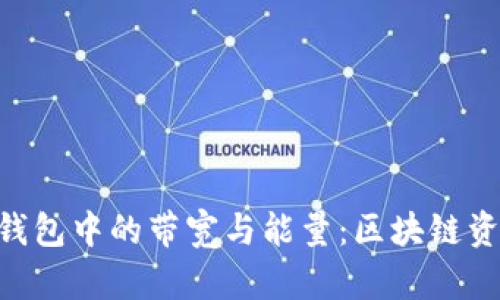 深入了解Tokenim钱包中的带宽与能量：区块链资产管理的核心概念