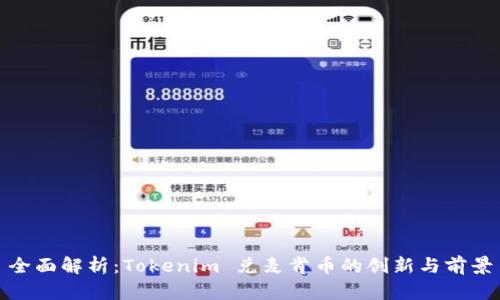 全面解析：Tokenim 兑麦肯币的创新与前景