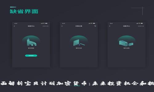全面解析宝贝计划加密货币：未来投资机会和挑战