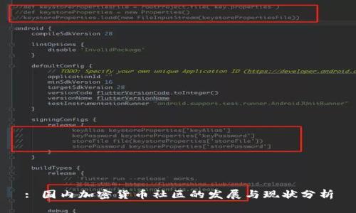 : 国内加密货币社区的发展与现状分析