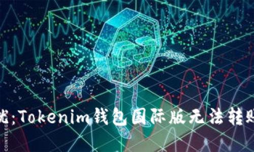: 全球用户的困扰：Tokenim钱包国际版无法转账的解决方案揭秘