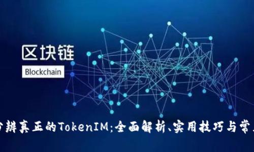 如何分辨真正的TokenIM：全面解析、实用技巧与常见误区