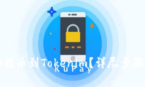 如何将屎币成功提币到Tokenim？详尽步骤与注意事项解析