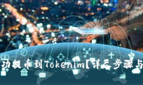 如何将屎币成功提币到Tokenim？详尽步骤与注意事项解析