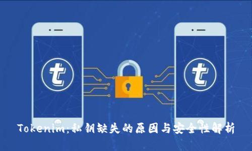 Tokenim：私钥缺失的原因与安全性解析