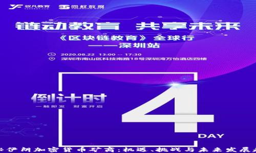 
揭秘伊朗加密货币矿商：机遇、挑战与未来发展趋势