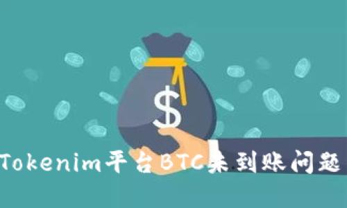如何解决Tokenim平台BTC未到账问题：全面指南